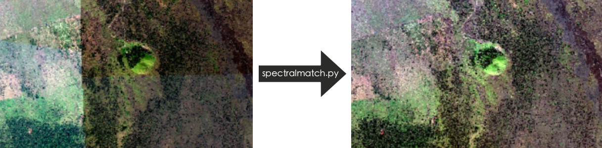 Global and Local Matching